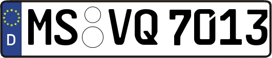 MS-VQ7013
