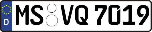MS-VQ7019