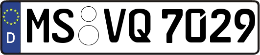 MS-VQ7029