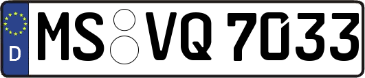 MS-VQ7033