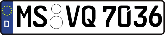 MS-VQ7036