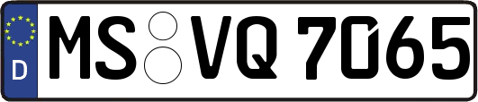 MS-VQ7065