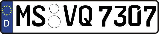 MS-VQ7307