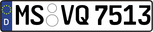 MS-VQ7513