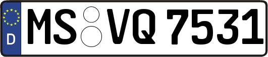 MS-VQ7531