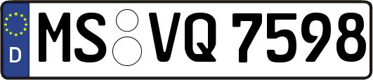 MS-VQ7598