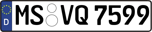 MS-VQ7599