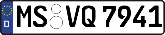 MS-VQ7941