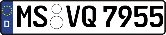 MS-VQ7955