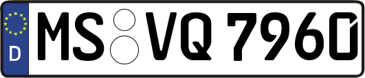 MS-VQ7960