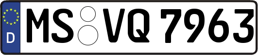 MS-VQ7963