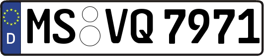 MS-VQ7971