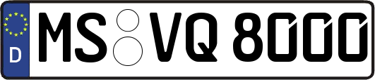 MS-VQ8000