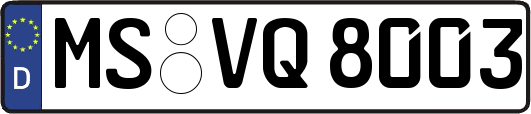 MS-VQ8003