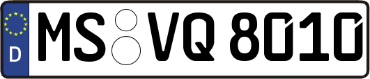 MS-VQ8010