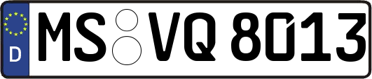 MS-VQ8013
