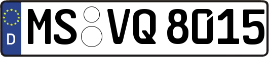 MS-VQ8015
