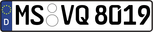 MS-VQ8019