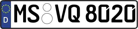 MS-VQ8020
