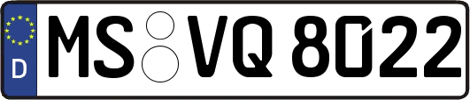 MS-VQ8022