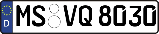 MS-VQ8030