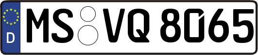 MS-VQ8065