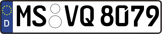 MS-VQ8079