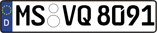 MS-VQ8091