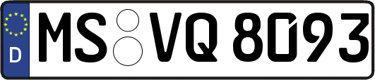 MS-VQ8093
