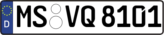 MS-VQ8101
