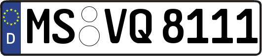 MS-VQ8111