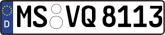 MS-VQ8113