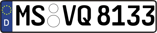 MS-VQ8133