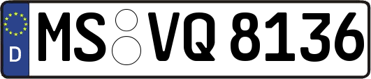 MS-VQ8136