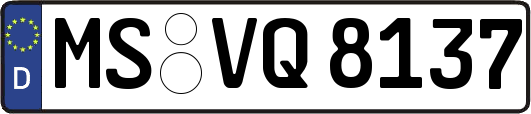 MS-VQ8137
