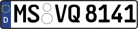 MS-VQ8141
