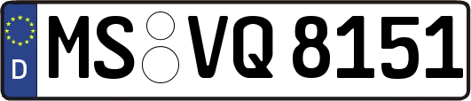 MS-VQ8151