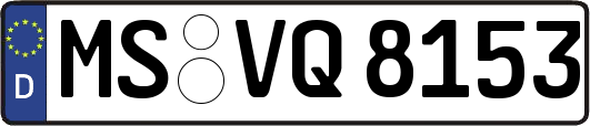 MS-VQ8153