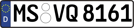 MS-VQ8161