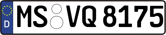 MS-VQ8175