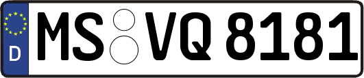 MS-VQ8181