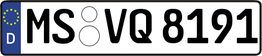 MS-VQ8191