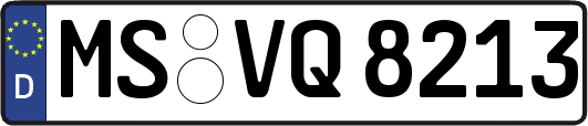 MS-VQ8213