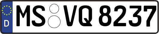 MS-VQ8237