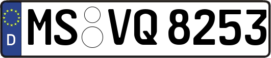 MS-VQ8253