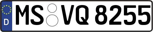 MS-VQ8255