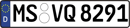 MS-VQ8291