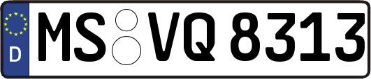 MS-VQ8313