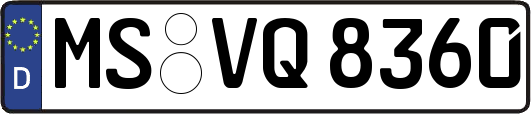 MS-VQ8360