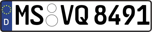 MS-VQ8491